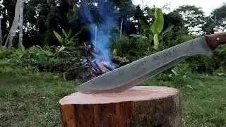 Outdoor Boys Inspired Into