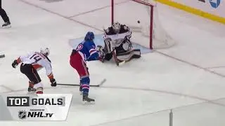 PUCK PROTECTION   DRIVING NET   6 CLIPS