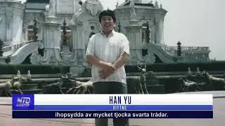 Studentorganisation vid Harvard belyser organsk&ouml;rd i Kina | NTD NYHETER