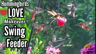 Hummingbirds LOVE New Toy❤️ Hummingbird Swing & Feeder Can STOP Bully Fighting * How to Make Nectar