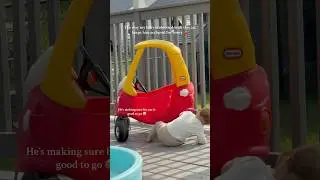 He&rsquo;s on a mission 😂 @littletikes #foryoupage #youtube #shorts #youtubeshorts #viral #funny #cute