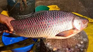 Expert Butcher Amazing Rohu Fish Cutting Skills Live In Fish Market, Big Rohu Fish Cutting Video