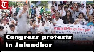 Congress protests against AAP in Jalandhar