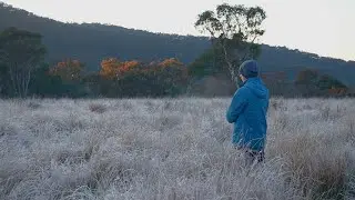 Atmospheric Music in a Frosty Field