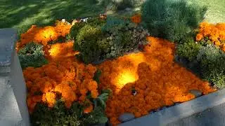 Musician Singer Chris Cornell Grave Day of the Dead Halloween Hollywood Forever LA CA Oct 31, 2025