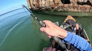Epic Bite at the Concrete Ships!