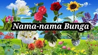 NAMA-NAMA BUNGA | BELAJAR MENGENAL BUNGA | ANAK DAN BALITA @cmkids-pe1xn