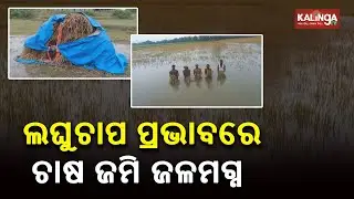 Heavy Rain At Various Parts Of Ganjam District, Odisha || Kalinga TV
