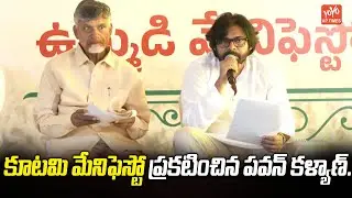 Pawan Kalyan Explain About TDP Janasena Joint Manifesto | Chandrababu | AP Election | YOYO AP Times