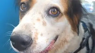 3rd times a charm right? ft Good Girl