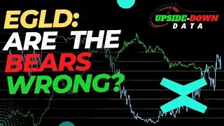 MultiversX ($EGLD): Are the Bears Wrong?