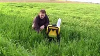 Marestail Weedkiller Kurtail from ProGreen (1/2)