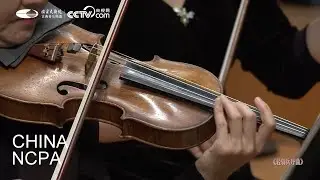 Leichte Kavallerie Overture-CHEN Xieyang & China National Symphony Orchestra-Spring Online
