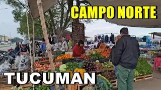 RECORRIENDO LA FERIA CAMPO NORTE | AVENIDA VIAMONTE | SAN MIGUEL DE TUCUMAN | NORTE ARGENTINO
