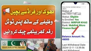 How To Check Bisp Amount 8171 Validation | Bisp Balance Check 8171 Portal | Bisp Payment Check Cnic