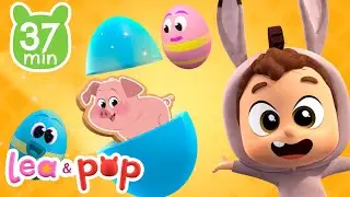 Aprenda os animais da fazenda com os Ovos Surpresa da Pop - V&iacute;deos educativos para crian&ccedil;as