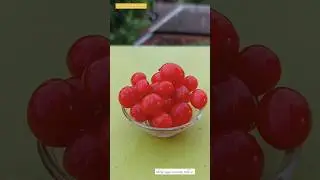 Cherry Shake recipe 🥰 #ytshorts #shorts #short #MiniFoodieKitchen #tiktoktrend #viral #fruit