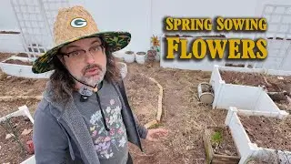 Expensive Clover Seeds for Bunnies? Here's My Strategy