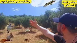 جولة في البادية و الطبيعة الخلابة في رحلة البحث عن أعشاش الطيور البرية