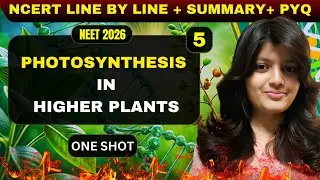 PHOTOSYNTHESIS IN HIGHER PLANTS CLASS 11 BIOLOGY ONE SHOT 🧬 | FULL NCERT + PYQs Solved | NEET 2026