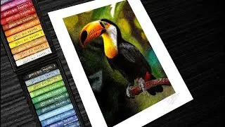 Oil Pastel Drawing/Drawing of a Toucan Tropical Bird.