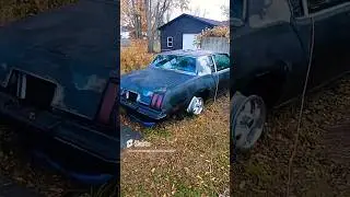 1978 OLDS CUTLASS SUPREME  full build #subscribe #olds #shorts #short #shortvideo #viral