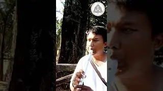 Erin Shore-The Corrs ( Cover) My Handmade Irish Whistle in G