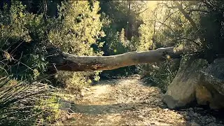 Our World - Beauty of Nature [Short Film] (4k Upscale | 2021)