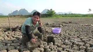 农村小伙在鱼塘沿着裂缝，翻开土块立马有惊喜，笑得合不拢嘴