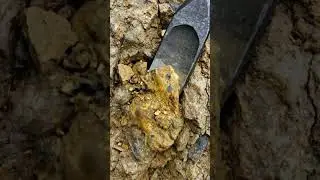 Wow Pure Gold🤑 #RealGold #GoldDiscovery #NaturalGold #GoldVein #QuartzGold #GoldProspecting