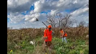 Lets go game bird hunting!