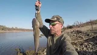 Catfish Fishing, Below Eisenhower Dam, Red River, The Bell Rang!