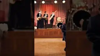 Dance Cat 2025 #cat #catlover #funny #ytshorts #yt #ytshort #shortvideo #viralvideo #viralshort