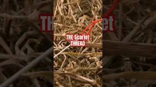 The Scarlet Thread #jesus #savior #beginning #to #end #bible #christianity