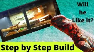 How to Build a Bio-Active Uromastyx Enclosure - Step by Step