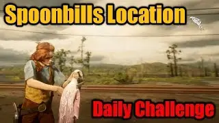 RED DEAD ONLINE Daily Challenge Spoonbills Skinned Location