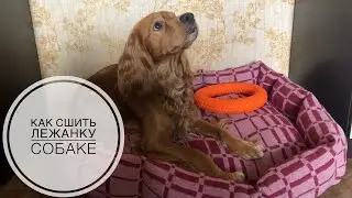 Как сшить лежанку для собаки или кота.