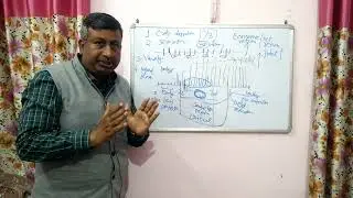 Explanation of Critical Period of Crop Weed Competition