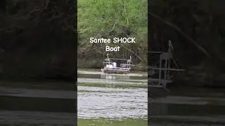 Shocking Boat on the Santee River! #shorts