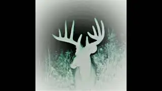 Alabama Black Belt Hunting Paradise - Line Creek Plantation