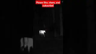 ATN Thor LTV thermal scope watching deer in the woods #deer #hunting #wildanimals #wildlife #nature