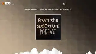 Biological Energy: Quantum Mechanisms, Water, DHA, and NF-kB