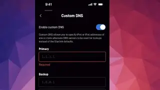 Enable Custom DNS Starlink Router