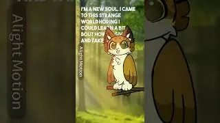 #meowl #meow #animation #trending #trendingshorts #cat #owl