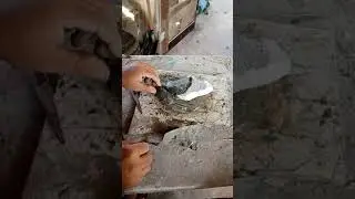 sapo de cimento parte 1.