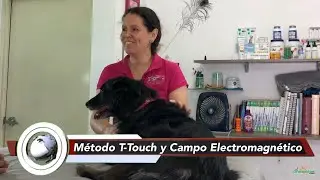 #T-Touch el m&eacute;todo alternativo de #masajes que sanar&aacute; a tu #perro