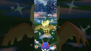 Getting lucky With ✨Shiny Noctowl in #pokemongo