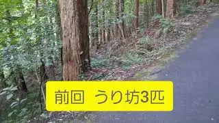 ここだけの話！