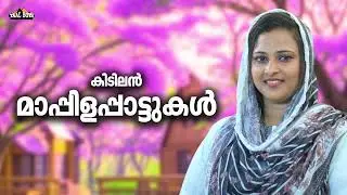 കേൾക്കാൻ ഏറെ കൊതിച്ച മാപ്പിളപ്പാട്ടുകൾ Mappilappattukal Seenath Munawar Mappila Songs