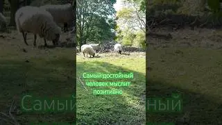 #саморазвитие #мудрость #отношения #личность